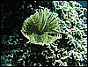 IMG_0908.JPG