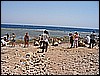 IMG_0923.JPG