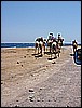 IMG_0925.JPG