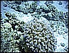 IMG_0927.JPG