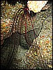 IMG_0940.JPG