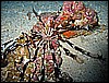 IMG_0943.JPG