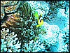 IMG_0951.JPG