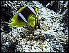 IMG_0952.JPG