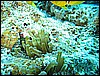 IMG_0954.JPG