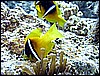 IMG_0955.JPG
