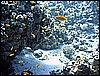 IMG_0956.JPG