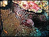 IMG_0957.JPG