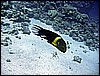 IMG_0961.JPG