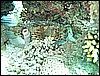 IMG_0964.JPG