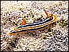 IMG_0966.JPG