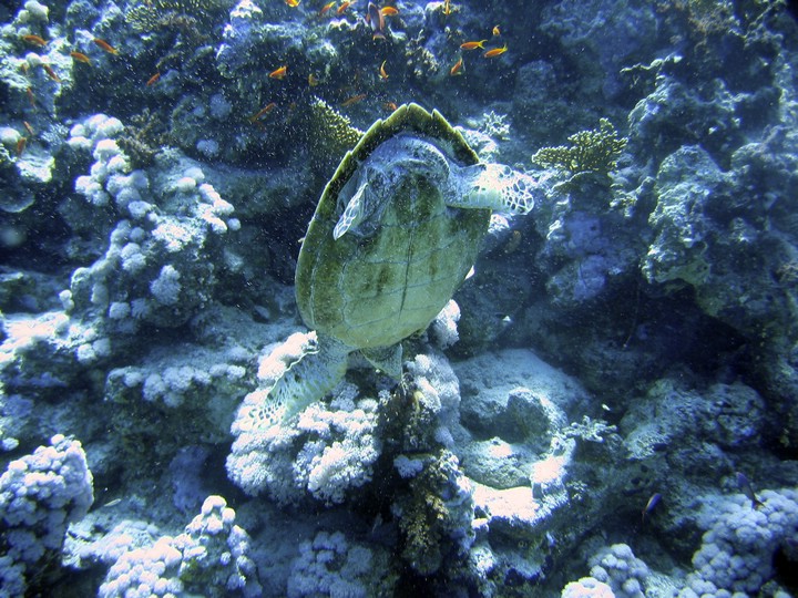 IMG_1000.JPG