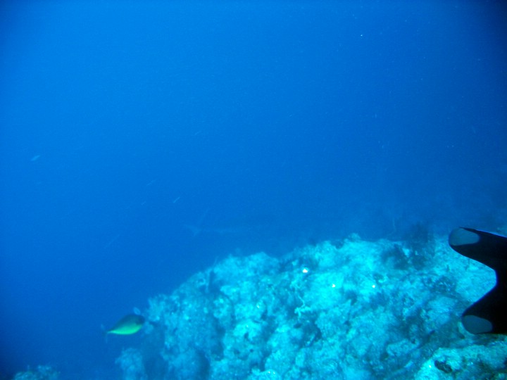 IMG_1015.JPG