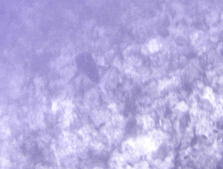 IMG_1018.JPG