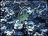 IMG_1000.JPG