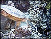 IMG_1003.JPG