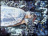 IMG_1004.JPG