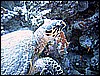 IMG_1005.JPG