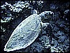 IMG_1006.JPG
