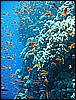 IMG_1011.JPG