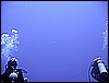 IMG_1023.JPG