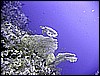 IMG_1029.JPG