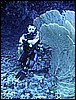 IMG_1035.JPG