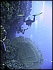 IMG_1038.JPG