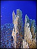 IMG_1040.JPG