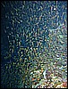 IMG_1044.JPG