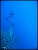 IMG_1047.JPG