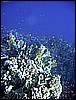 IMG_1050.JPG