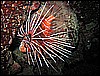IMG_1053.JPG