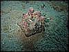 IMG_1054.JPG