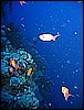 IMG_1063.JPG