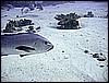 IMG_1067.JPG