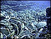IMG_1068.JPG