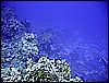 IMG_1069.JPG