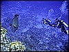 IMG_1071.JPG