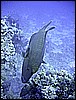 IMG_1073.JPG