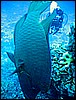 IMG_1074.JPG