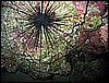 IMG_1079.JPG