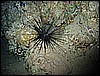 IMG_1080.JPG
