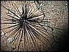 IMG_1082.JPG