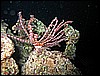 IMG_1083.JPG