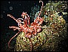 IMG_1091.JPG
