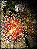 IMG_1092.JPG