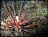 IMG_1096.JPG