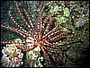 IMG_1097.JPG