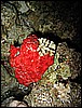 IMG_1099.JPG